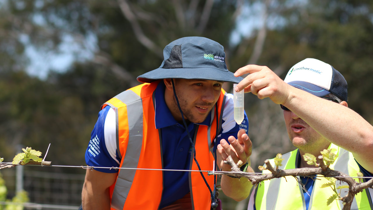 Irrigation Efficiency